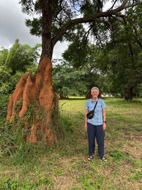 Lydia Bigley - termite mound at University of Ghana